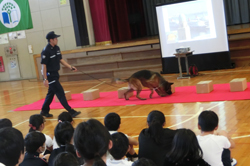 戸田小学校の生徒が麻薬探知犬デモンストレーションを見ている様子(2018年12月)