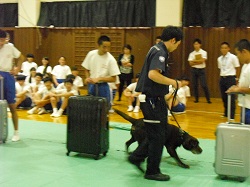 横須賀市立池上中学校の薬物乱用防止教室の様子�A.JPG