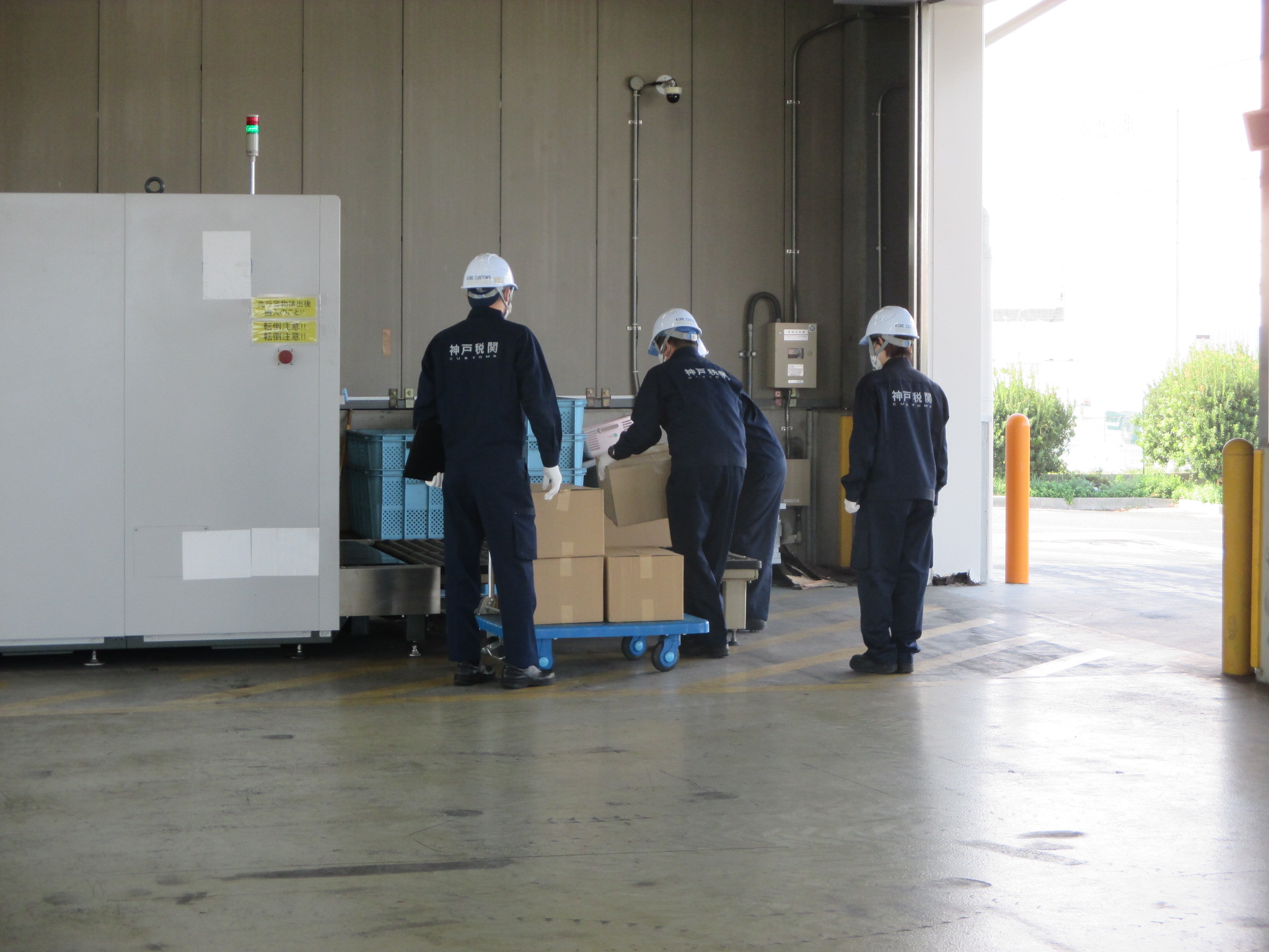 X線検査時の写真