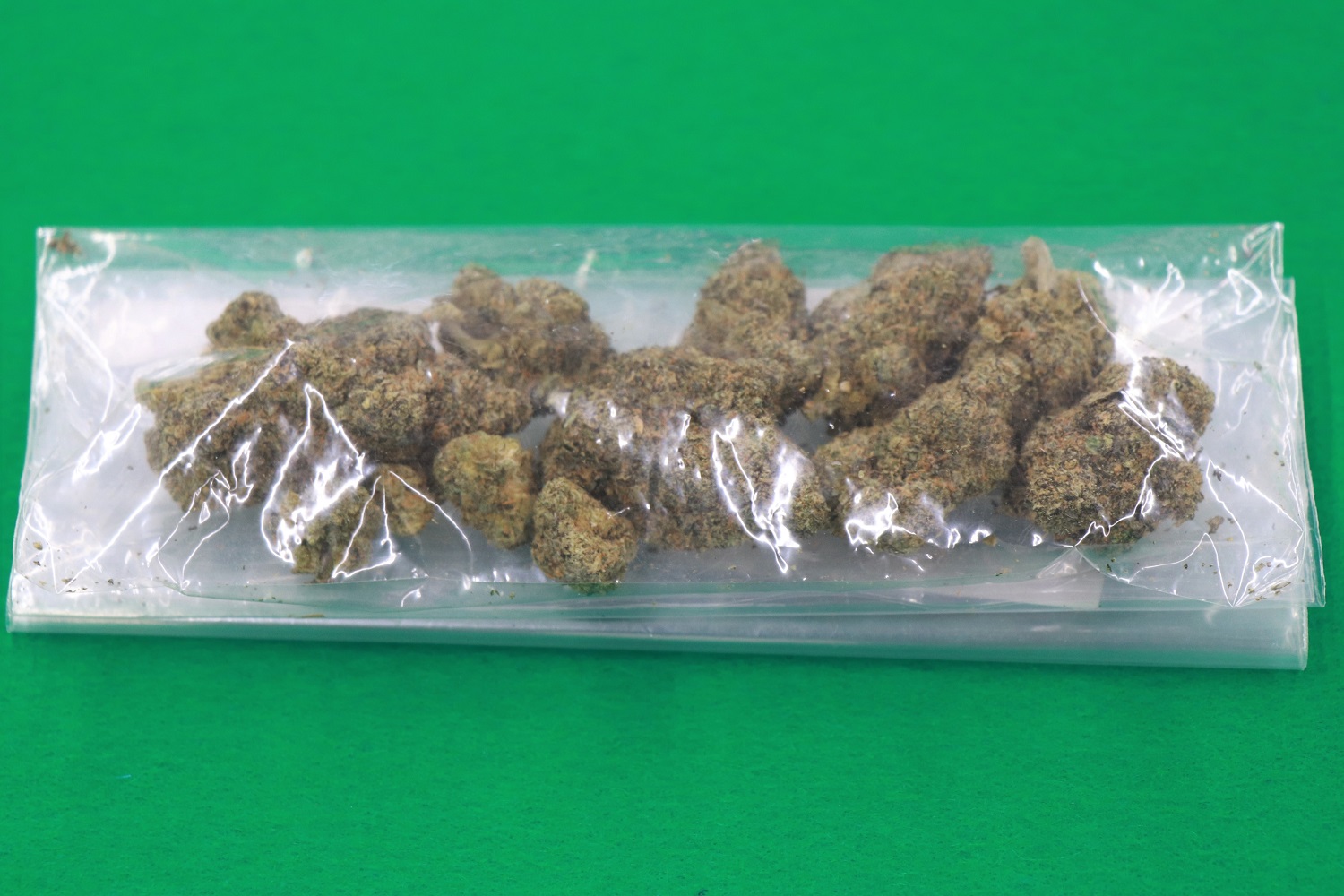 犯則物件である大麻の写真