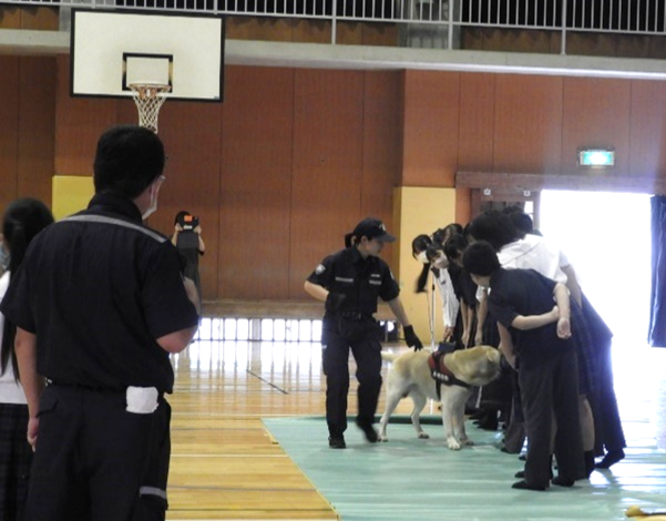 麻薬探知犬によるデモンストレーションの様子