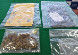 摘発された大麻