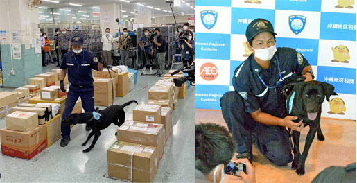 麻薬探知犬ジニー号の紹介