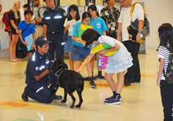 麻薬探知犬と触れ合う児童 麻薬探知犬と触れ合う児童