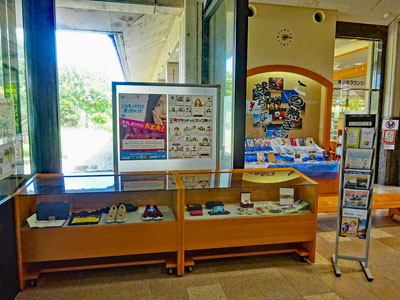 展示の様子 展示の様子