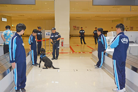 麻犬デモの様子 麻犬デモの様子