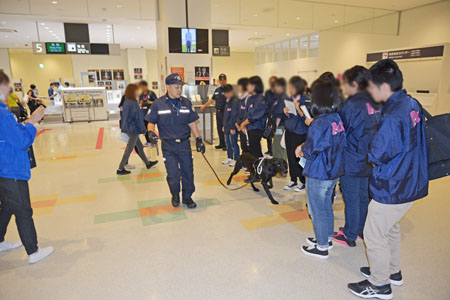 麻犬稼働の様子 麻犬稼働の様子