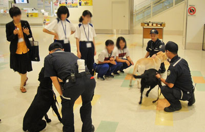 麻薬探知犬の説明を受ける生徒達 麻薬探知犬の説明を受ける生徒達