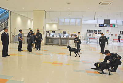 麻犬の様子 麻犬の様子