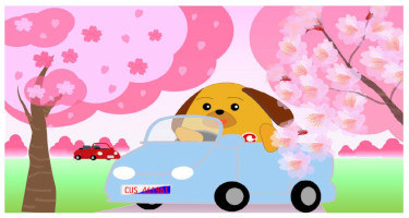 桜花見をドライするカスタム君 桜花見をドライするカスタム君