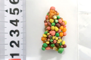 保存袋に入った麻薬を含有する固形物 保存袋に入った麻薬を含有する固形物