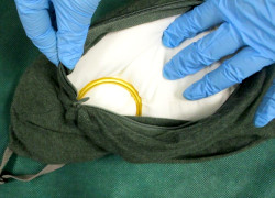 ネックピロー内に隠されたリング状の金 ネックピロー内に隠されたリング状の金