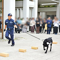 麻犬デモンストレーションの様子 麻犬デモンストレーションの様子