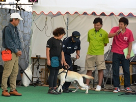 麻薬探知犬公開訓練の様子 麻薬探知犬公開訓練の様子