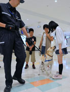 麻薬探知犬と触れ合う児童ら 麻薬探知犬と触れ合う児童ら