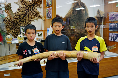 展示室内見学 展示室内見学