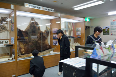 展示室見学の様子 展示室見学の様子