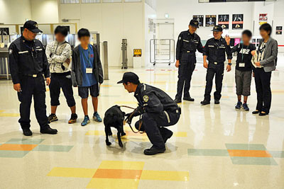 麻犬見学の様子 麻犬見学の様子