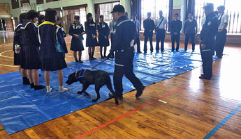 麻犬デモの様子 麻犬デモの様子