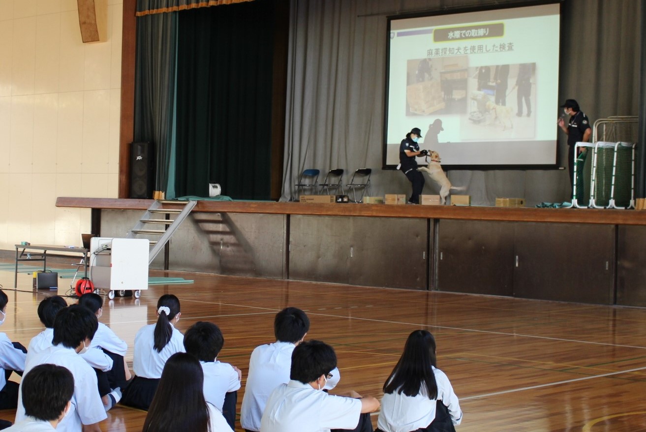 デモンストレーションの様子