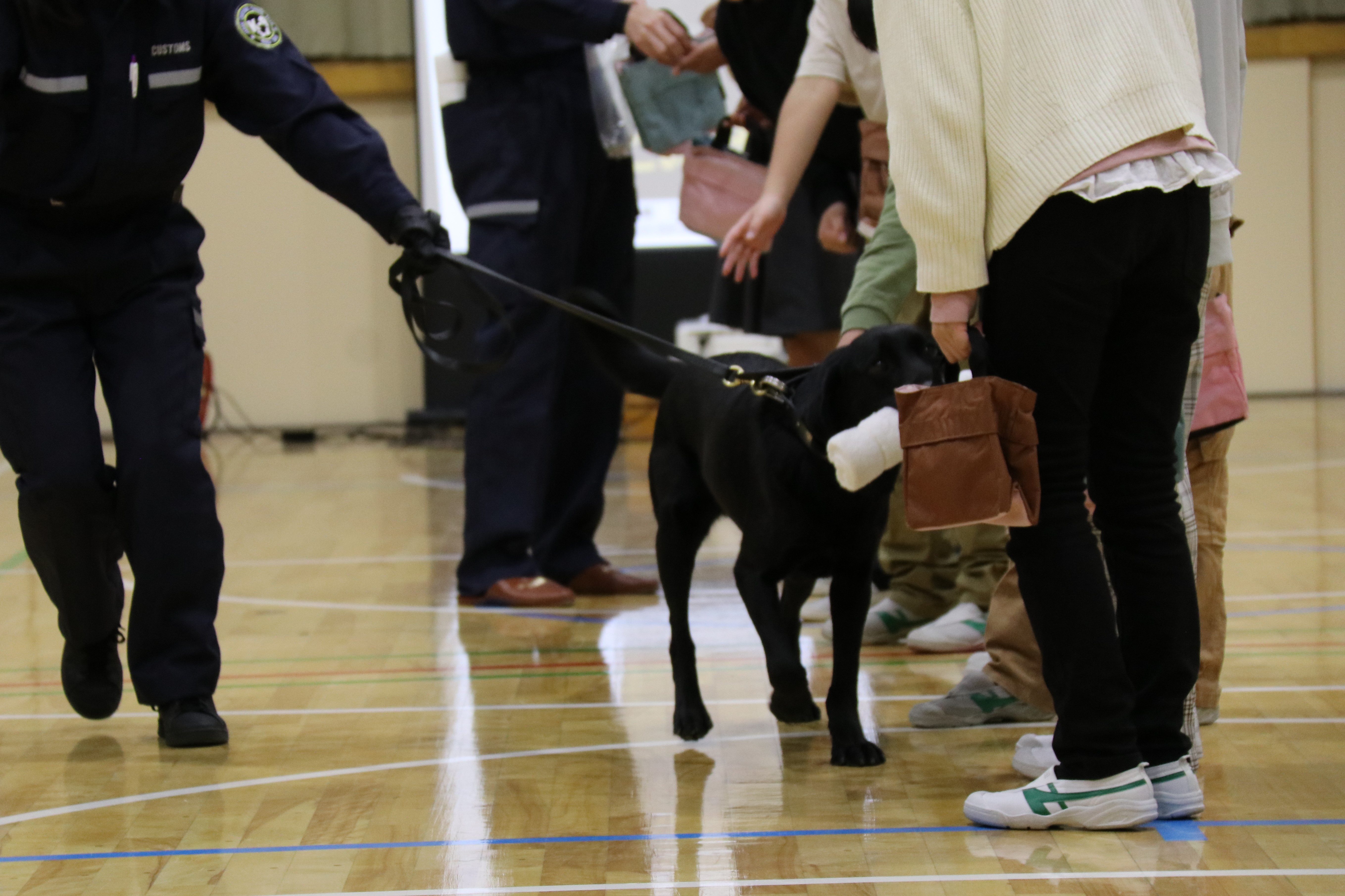 税関教室 麻薬探知犬のデモンストレーションの様子
