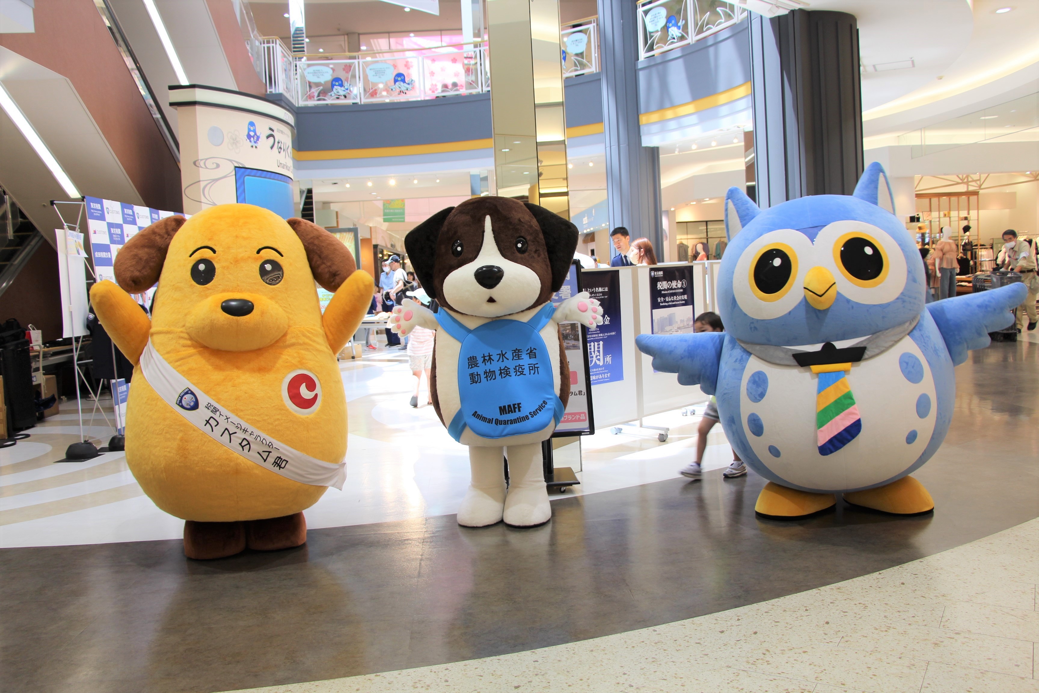tokyozeikannow20240518-1.jpg