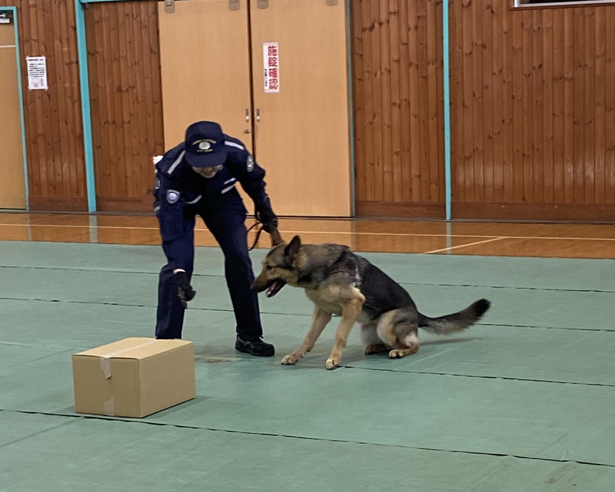 麻薬探知犬のデモンストレーションの様子