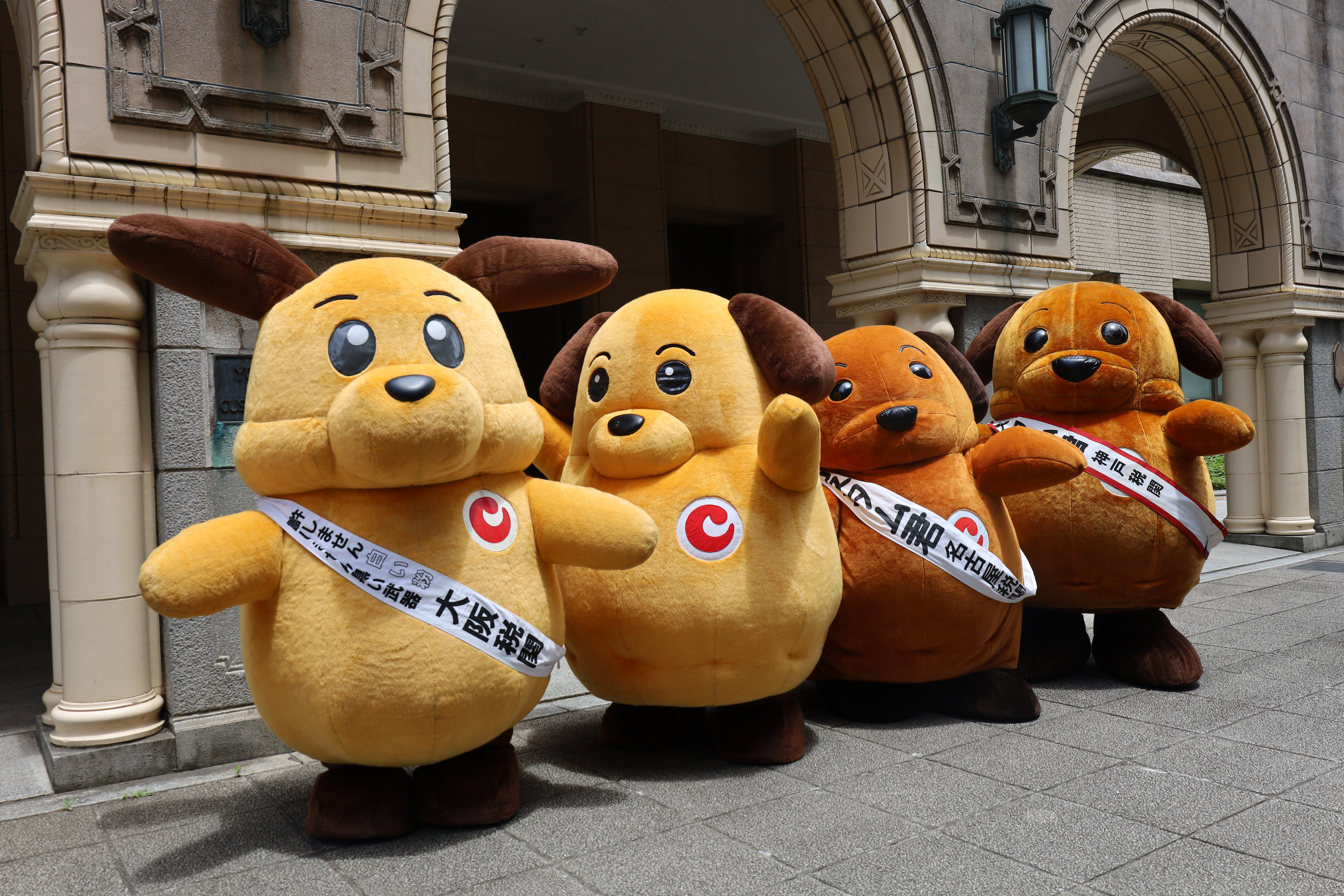 カスタム君4頭が勢揃いしている様子