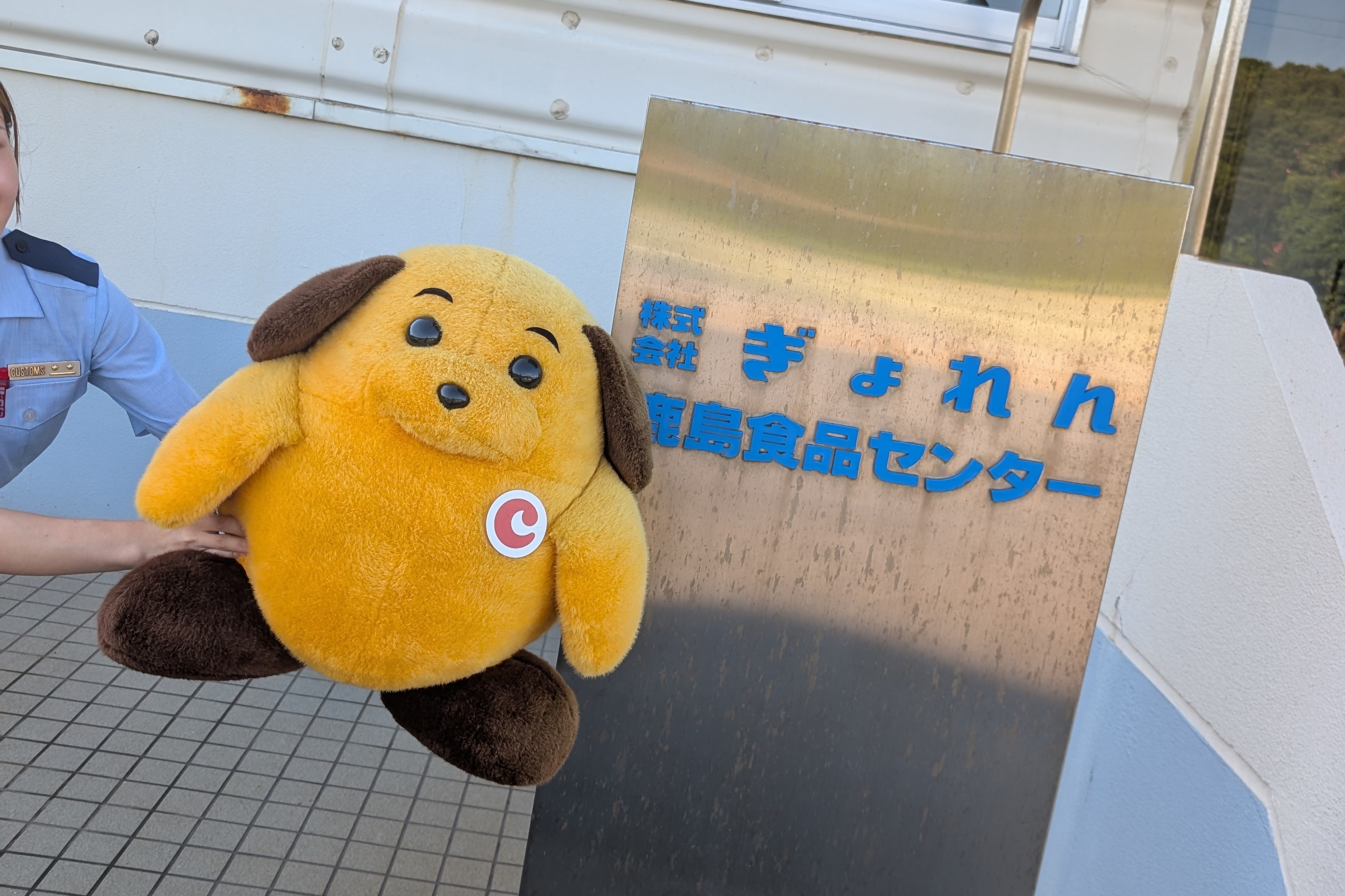 ぎょれんの写真