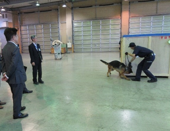 麻犬の訓練を加藤大臣が見学している様子